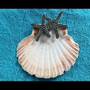 Small plates, 4 authentic flat scallop shells with decorative starfish handle